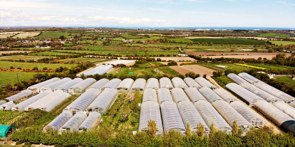 McNally Family Farm